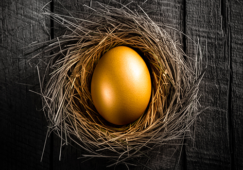 Annuity_th golden egg in nest