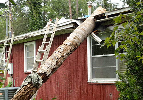 red home exterior with roof damage from palm tree