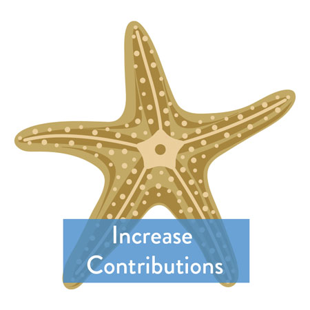 Increase Contributions Button