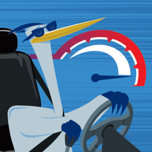 Contribution Limits Change Card