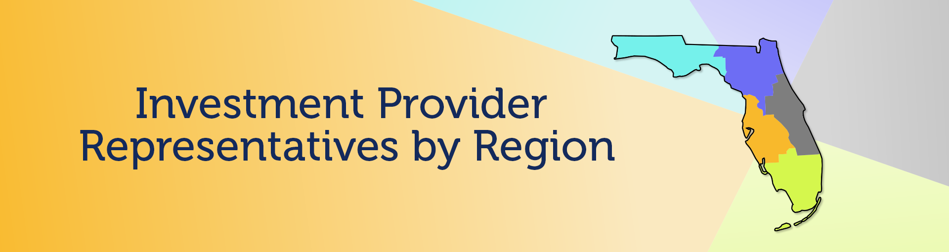 Investment Provider Representatives by Region