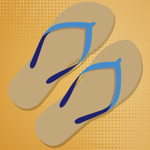Flip Flops