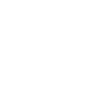 Functional Team
