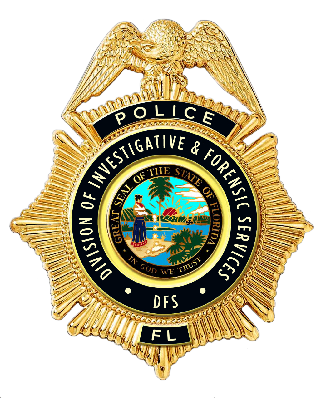 DFS Division of Investigative and Forensic Services (DIFFS) Police Badge