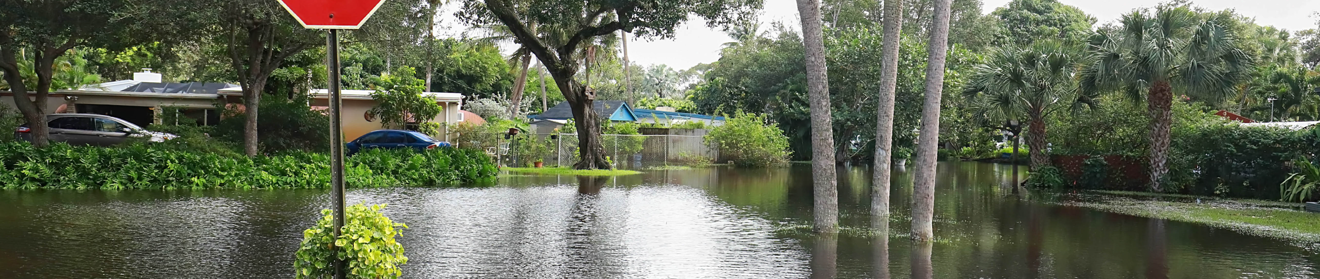 Un vecindario de la Florida con agua estancada que cubre casi todo el suelo con un pie de profundidad.