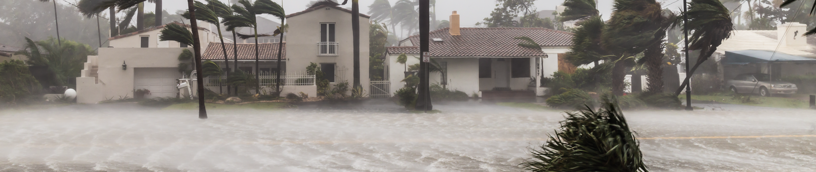 South Florida homes and street in hurricane with bending trees and water rushing over ground.