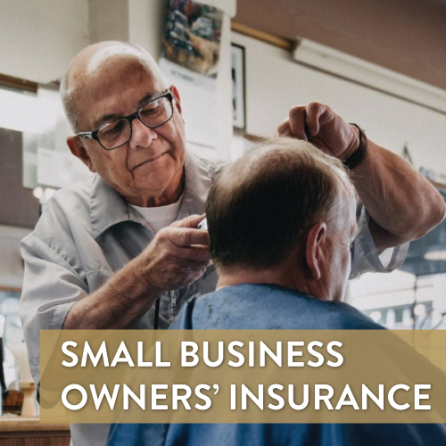 Small Business Owners' Insurance Guide