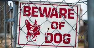 Beware of Dog Sign Beware of Dog sign on chain link fence