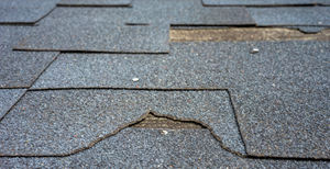 Shingles Close-up of wear and tear on roof shingles that need replacing