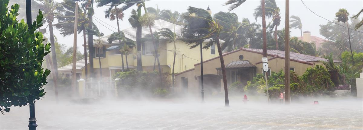 Hurricane Wind and Flooding - Ft. Lauderdale Hurricane Wind and Flooding